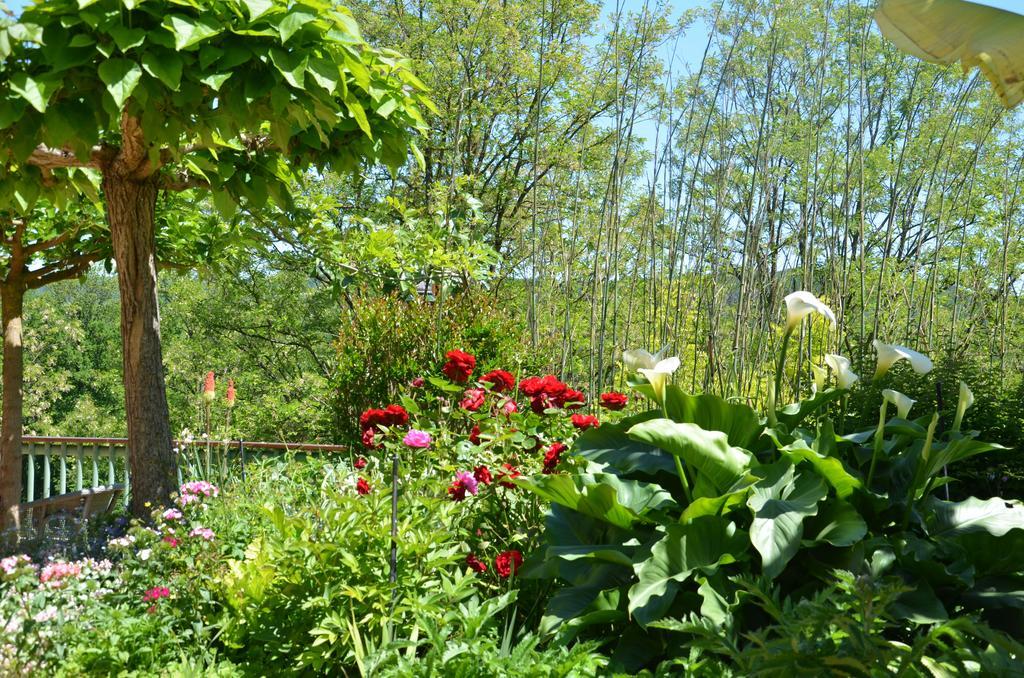 La Gueriniere Bed & Breakfast Cénac-et-Saint-Julien Екстериор снимка
