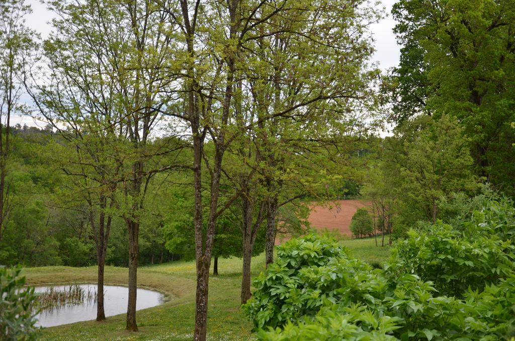 La Gueriniere Bed & Breakfast Cénac-et-Saint-Julien Екстериор снимка