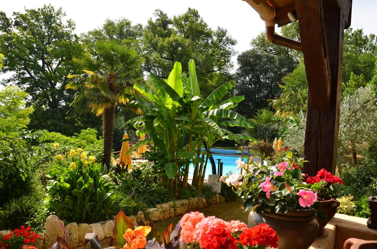 La Gueriniere Bed & Breakfast Cénac-et-Saint-Julien Екстериор снимка