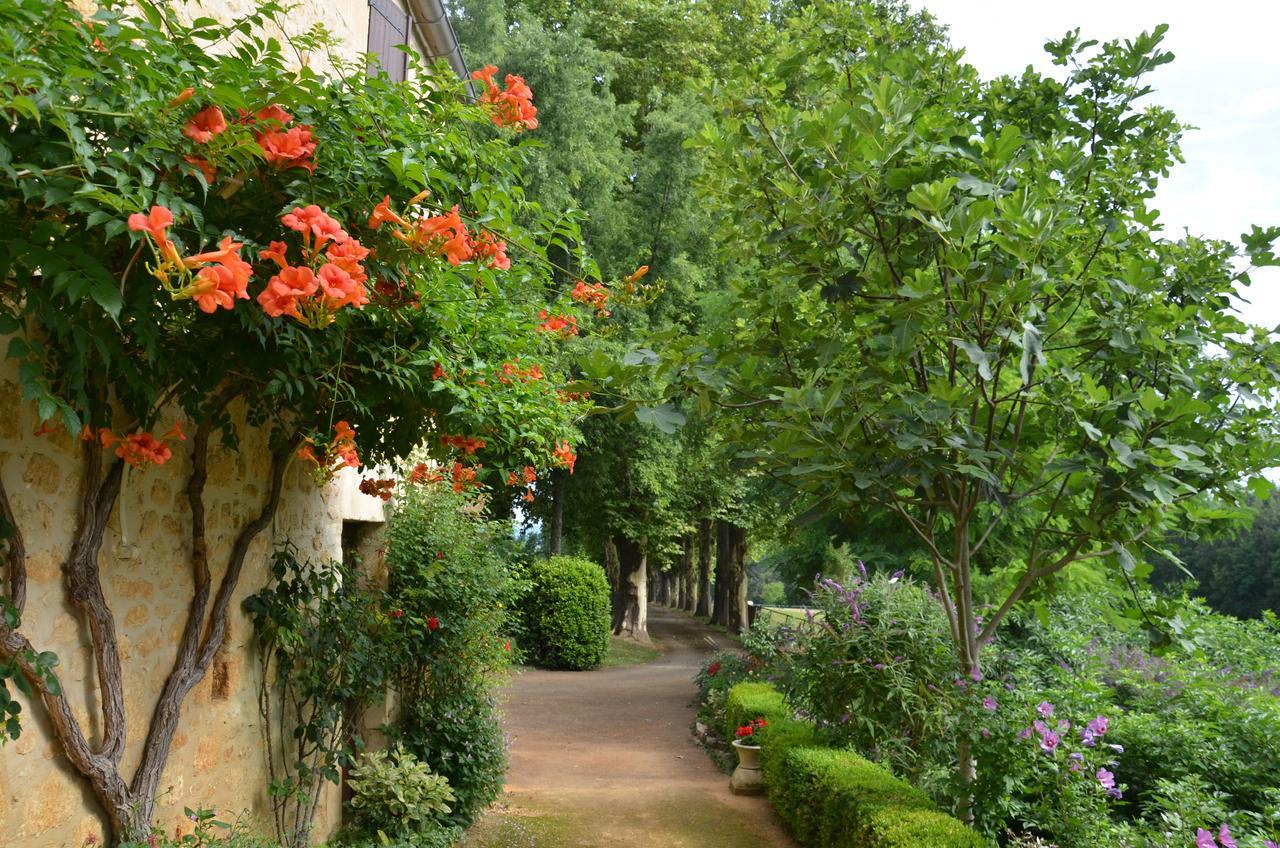 La Gueriniere Bed & Breakfast Cénac-et-Saint-Julien Екстериор снимка